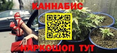 трава Канаш