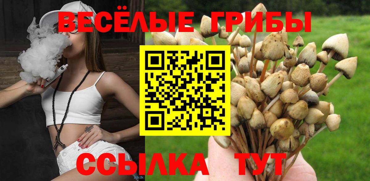 Галлюциногенные грибы Psilocybe Кстово