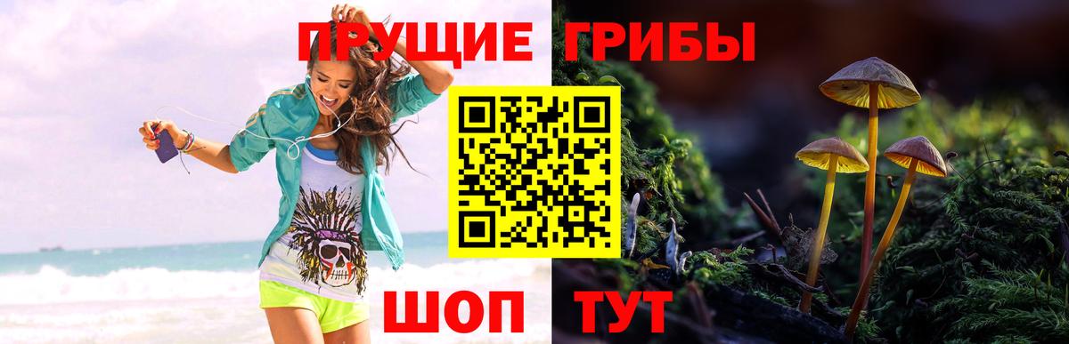 Кстово  что такое   Вход с VPN  Галлюциногенные грибы Magic Shrooms 